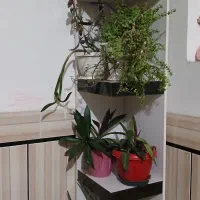 شلف هایگلاس با گلدان ها|کتابخانه، شلف، قفسههای دیواری|دزفول, |دیوار