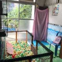 اجاره ویلایی ۱۸۰ متری حمیدیان|اجارهٔ خانه و ویلا|رشت, حمیدیان|دیوار