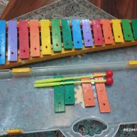 بلز بزرگ حرفه‌ای مدل رها