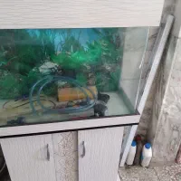 آکواریوم در حدنو