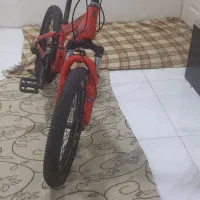 دوچرخه سایز ۲۰ قرمز|دوچرخه، اسکیت، اسکوتر|ری, ظهیرآباد|دیوار