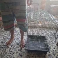 قفس بزرگ