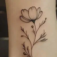 اجرا و آموزش تتو بدن|خدمات آرایشگری و زیبایی|میبد, |دیوار