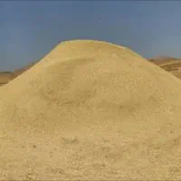 فروش 80 خروار کاه گندم نرم وریز