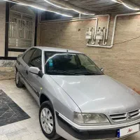 زانتیا بی رنگ