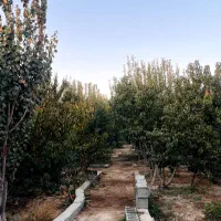 خانه باغ ویلایی در دیزج خلیل|فروش خانه و ویلا|شبستر, |دیوار