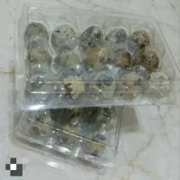 گوشت و تخم بلدرچین