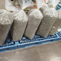 تخمه درجه یک،شکر،فندق