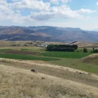 بیل زنی  باغبانی