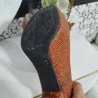 کفش مجلسی|کیف، کفش، کمربند|کرمانشاه, |دیوار