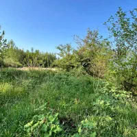 خانه و محوطه قدیمی باشرایط پرداخت چکی|فروش خانه و ویلا|رضوانشهر, |دیوار