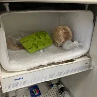 یخچال فریزر|یخچال و فریزر|گلبهار, شهر جدید گلبهار|دیوار