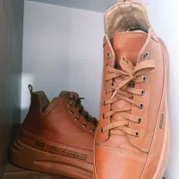 کفش مردانه|کیف، کفش، کمربند|نی‌ریز, |دیوار