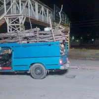 خرید درخت و چوب نوپانی