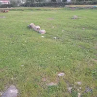 ۳۰۰متر زمین