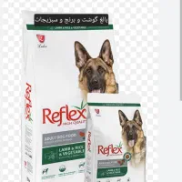 رنگین کمان|پرنده|تهران, بازار|دیوار