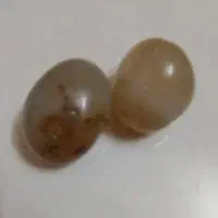 مهره