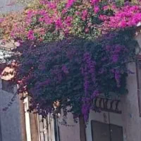 رهن ملک ویلایی مسکونی  در محدوده کلانتری  امام رضا