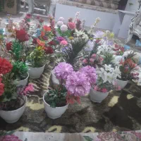 گلهای تزئینی|گل مصنوعی|اسلامشهر, شهرک امام حسین (میان آباد)|دیوار