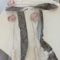 مایع ظرفشویی|حراج|زنجان, |دیوار