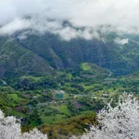 زمین شهرکی واصفجان