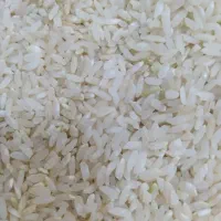 برنج چمپا|عمده‌فروشی|فلارد, |دیوار