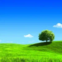 باغ سیب ۸ هکتار محدوده فارس