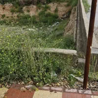 فروش زمین تجاری بهرباغ