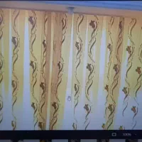 پرده سالن سلطنتی|پرده، رانر، رومیزی|شیراز, نیستان|دیوار