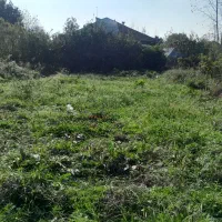 زمین ۳۰۰ متری در لادمخ