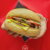 شروع فصلی جدید