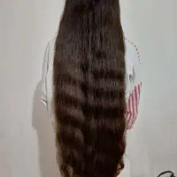 خریدار اصلی مو|آرایشی، بهداشتی، درمانی|شوشتر, |دیوار