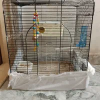 قفس بزرگ پرنده|لوازم جانبی حیوانات|بوکان, |دیوار