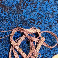 پامر روباهی خرسی|سگ|شیراز, کوشک میدان|دیوار