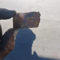 شجر گل اناری|جواهرات|زنجان, |دیوار