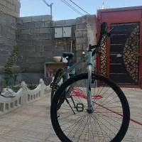 دوچرخه نو|دوچرخه، اسکیت، اسکوتر|سپیدان, |دیوار