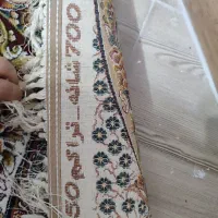 فرش ۱۲ متری|فرش|خمینیشهر, |دیوار