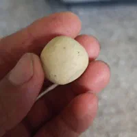گوهرشب چراغ|جواهرات|دزفول, |دیوار