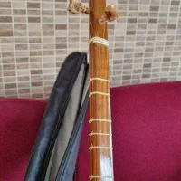 سه تار همراه با کاور