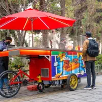 کافه سیار نمونه ایتالیایی فول لوازم