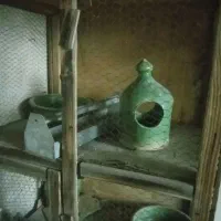 کفتر / آب خوری / کاسه تخم/ جا دونه / سله 4 طبقه