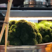 اموزش تا سفارش آشپزی