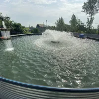 ساخت استخر پرورش ماهی و ذخیره آب ،80 میلیون تومان