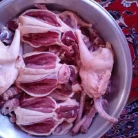اردک طبیعی وجوجه طبیعی آنقدر ترتمیز