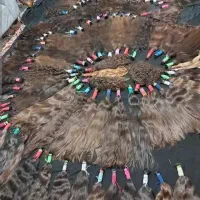 مو فروش مو(خرید مو وخریدارمو)