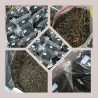 چای درجه یک ‌گیلان