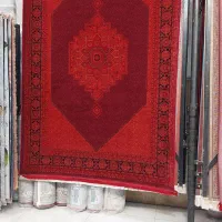 فرش لاکی طرح جدید|فرش|بابل, |دیوار