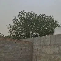 باغچه چهار دیواری|فروش زمین و ملک کلنگی|محمدشهر, عباس آباد|دیوار