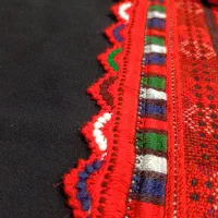 کریشی دلارا