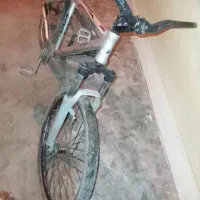 دوچرخه ۲۶|دوچرخه، اسکیت، اسکوتر|گنبد کاووس, |دیوار